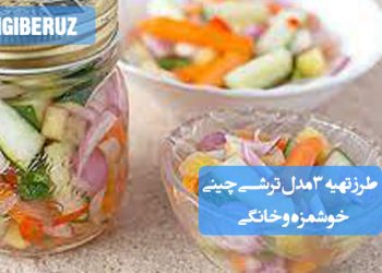 ترشی چینی: طرز تهیه سه مدل ترشی متفاوت و خوشطعم، چاشنی اشتهاآور و سرشار از فیبر