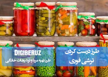 "آموزش تهیه ترشی فوری با روشهای ساده و سریع برای طعمی تازه و دلپذیر در کمترین زمان"