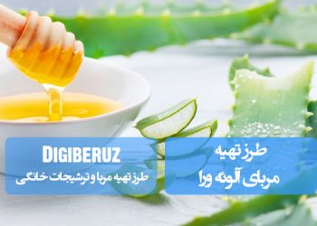 "دستور تهیه مربای آلوئهورا با روشهای خانگی سالم و نکات مهم برای حفظ خواص درمانی و طعم ویژه"