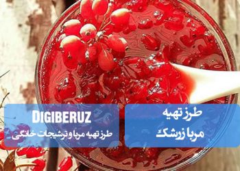 "دستور کامل تهیه مربا زرشک با طعم بینظیر و روشهای سنتی و مدرن برای صبحانهای خوشمزه"
