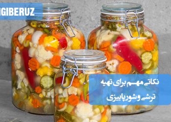 نکات مهم تهیه ترشی و شور پاییزی خانگی برای طعم بهتر، ماندگاری بالا و حفظ خواص سلامتی