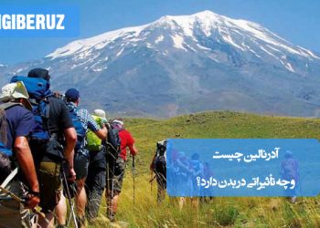 آدرنالین هورمونی استرس‌زا که بدن را برای واکنش سریع آماده می‌کند و نقش حیاتی در انرژی دارد