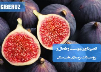 خواص درمانی انجیر در طب سنتی برای یبوست مزمن، پاکسازی طحال و تقویت پروستات با نگاه مزاجی