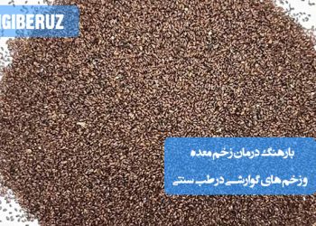 بارهنگ: گیاه دارویی موثر در درمان زخم معده و زخمهای گوارشی، با خواص ترمیمکننده و تسکیندهنده