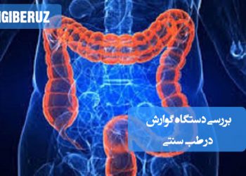بررسی ساختار و عملکرد دستگاه گوارش بر اساس اصول و منابع طب سنتی ایرانی و اسلامی