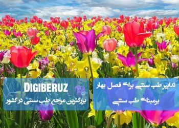 تدابیر مهم طب سنتی در بهار | نکات غذایی و سبک زندگی برای حفظ سلامت و پیشگیری از بیماریها