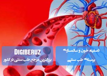 تصفیه خون با گیاهان دارویی: راهکارهای طب سنتی برای بهبود گردش خون و سلامت بدن