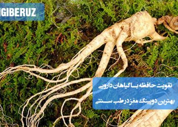 تقویت حافظه و تمرکز با گیاهان دارویی موثر و طبیعی بهترین دوپینگ مغز در طب سنتی