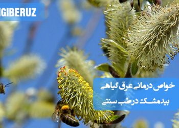 عرق بیدمشک آرام‌بخش، تقویت‌کننده قلب و ضد تپش قلب در طب سنتی با طبعی خنک و ملایم