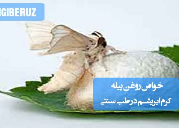 روغن پیله کرم ابریشم: روغن طبیعی با خواص ضد پیری و ترمیم‌کننده در طب سنتی برای پوست و مو.