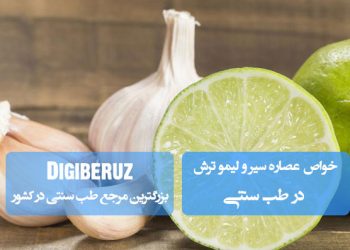 خواص درمانی عصاره سیر و لیمو ترش در طب سنتی | تقویت سیستم ایمنی و بهبود عملکرد دستگاه گوارش
