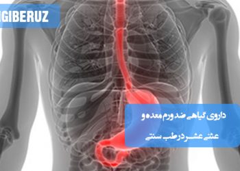 داروی گیاهی: ضد ورم معده و اثنی عشر در طب سنتی، با خواص تسکیندهنده و التیامبخش