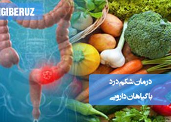شکم‌درد: درمان با گیاهان دارویی طبیعی و موثر، برای تسکین درد و بهبود عملکرد گوارش