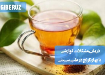 بهارنارنج، داروی طبیعی برای آرامش معده و بهبود هضم در طب سنتی