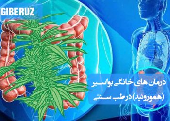 درمان بواسیر با نسخه‌های گیاهی، رژیم مناسب و روش‌های ساده طب سنتی برای کاهش درد و خون‌ریزی
