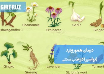 درمان بواسیر با گیاهان دارویی و نسخه‌های طب سنتی برای کاهش التهاب، خونریزی و درد