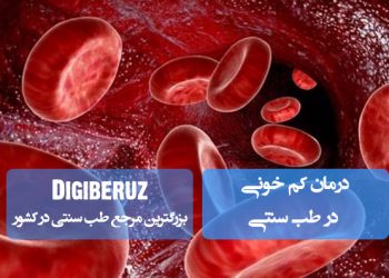 درمان کمخونی با روشهای طب سنتی | نسخههای گیاهی و اصلاح مزاج برای افزایش تولید خون سالم