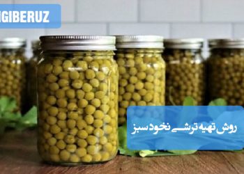 ترشی نخود سبز: روش تهیه ترشی پرفیبر و مغذی، چاشنی اشتهاآور و مفید برای سلامت استخوان.