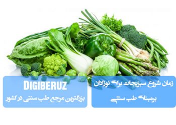 زمان مناسب شروع سبزیجات برای نوزادان در طب سنتی | نکات تغذیهای برای رشد سالم و هضم بهتر