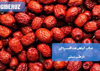 عناب گیاهی موثر برای تقویت روحیه و رفع افسردگی با خواص طبیعی در طب سنتی ایرانی