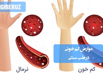 نشانهها و پیامدهای کمخونی در طب سنتی و بررسی تأثیر آن بر مغز، قلب و انرژی بدن