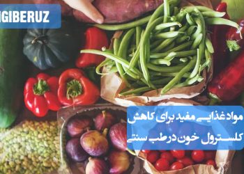خوراکی‌های کاهنده کلسترول در طب سنتی؛ مثل سیر، سیب، سرکه‌انگبین و سبزیجات با طبع گرم و خشک