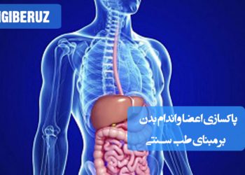 روشهای پاکسازی کبد، روده، کلیه و اندامهای داخلی بدن با تدابیر تخصصی طب سنتی ایرانی
