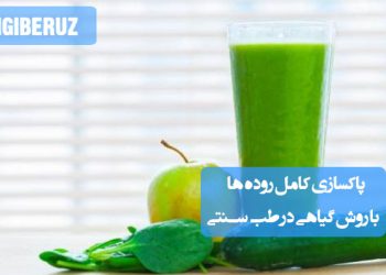 پاکسازی روده: روشهای گیاهی و کامل در طب سنتی، برای بهبود گوارش و سمزدایی بدن.