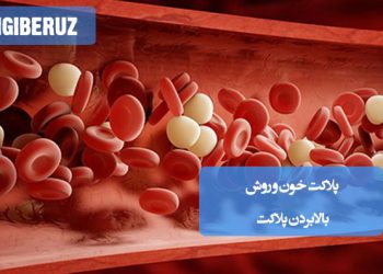 بالابردن پلاکت خون با روشهای گیاهی و طب سنتی برای تقویت خون و بهبود سلامت عمومی