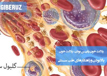 تنظیم پلاکت خون پایین یا بالا با روشهای طب سنتی و گیاهان دارویی برای تعادل خون