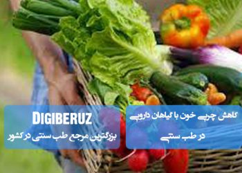 کاهش چربی خون با نسخههای گیاهی طب سنتی | درمان کلسترول بالا با داروهای طبیعی و مزاجساز
