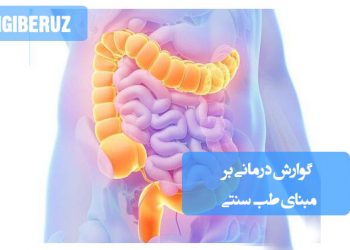 روشها و درمانهای طبیعی برای بهبود عملکرد گوارش طبق آموزههای طب سنتی ایرانی و اسلامی.