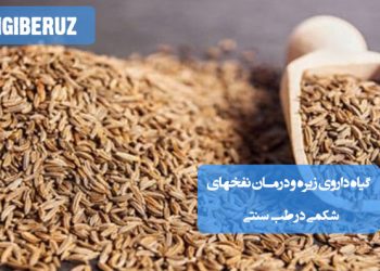 زیره گیاهی ضد نفخ و تقویتکننده گوارش، مفید برای دلدرد و باد معده در طب سنتی