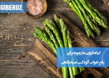 مارچوبه گیاهی برای رفع خوابآلودگی صبحگاهی و تقویت انرژی بدن طبق طب سنتی