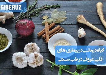 درمان بیماریهای قلب و عروق با گیاهان مؤثر در تقویت قلب، تصفیه خون و باز کردن گرفتگیها در طب سنتی