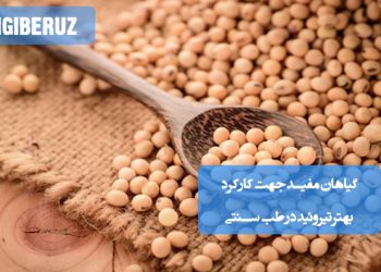 گیاهان دارویی طب سنتی برای تقویت عملکرد تیروئید و حفظ تعادل هورمونی بدن