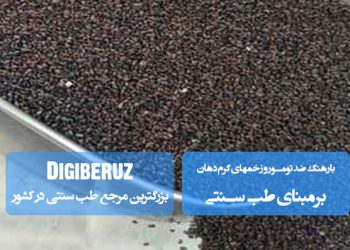 بارهنگ در طب سنتی: درمان طبیعی زخمهای گرم دهان و کاهش تومورها