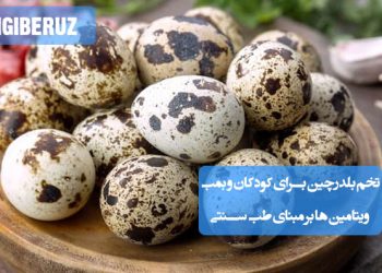 تخم بلدرچین مقوی و سرشار از ویتامینها، تقویتکننده بدن کودکان طبق طب سنتی و بدون عوارض