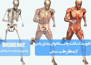 تقویت اسکلت و استخوان‌بندی بدن در طب سنتی با روش‌های طبیعی شامل تغذیه و گیاهان دارویی موثر