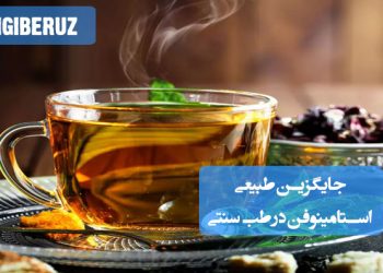 داروهای طبیعی و گیاهی طب سنتی جایگزین استامینوفن برای کاهش درد و تب بدون عوارض جانبی