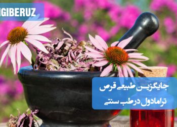 داروهای گیاهی طب سنتی جایگزین طبیعی ترامادول برای تسکین دردهای مزمن بدون وابستگی و عوارض