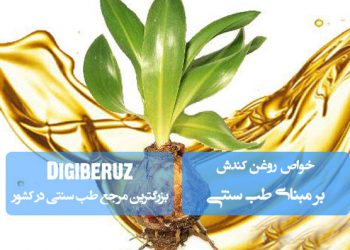 روغن کندش در طب سنتی؛ ضدعفونیکننده، تقویتکننده پوست و مو، ضد التهاب و کمک به بهبود زخمهای کودکان