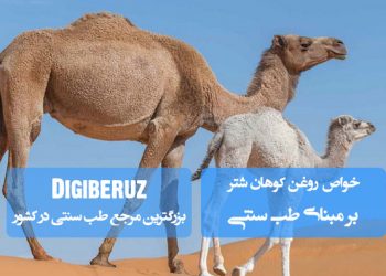 خواص روغن کوهان شتر در طب سنتی: ضدالتهاب، مرطوب‌کننده پوست، تقویت سیستم ایمنی و تسکین دردهای عضلانی