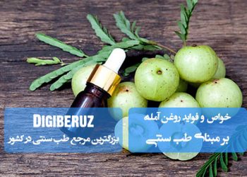روغن آمله: تقویت مو، جوانسازی پوست و تنظیم هورمونها در طب سنتی