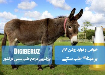 روغن الاغ در طب سنتی | مرطوبکننده قوی پوست، تسکین دردهای عضلانی و ضد التهابات موضعی