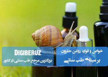 خواص روغن حلزون در طب سنتی | ترمیم پوست، ضد التهاب و بهبود آسیبهای پوستی بهصورت طبیعی