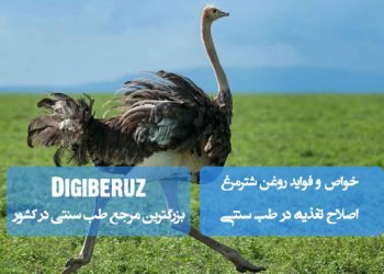 خواص روغن شترمرغ در طب سنتی | درمان التهابات پوستی، بهبود درد مفاصل و تقویت سیستم ایمنی