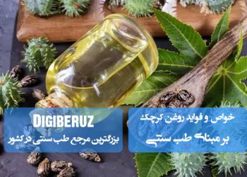 روغن کرچک در طب سنتی | ملین طبیعی، ضد التهاب و کمک به ترمیم زخم‌های پوستی و بهبود دردهای عضلانی