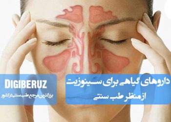 داروهای گیاهی موثر در درمان سینوزیت در طب سنتی شامل ضدالتهابها، گیاهان خلطآور و تقویتکننده سیستم ایمنی