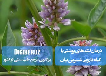 درمان لک‌های پوستی با گیاه دارویی شیرین بیان در طب سنتی به‌عنوان روش طبیعی روشن‌کننده پوست